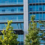 Nvidia e Microsoft pressionam Washington por proteção a modelos abertos de IA