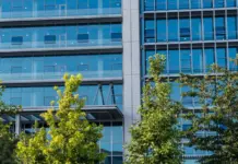 Nvidia e Microsoft pressionam Washington por proteção a modelos abertos de IA Nvidia e Microsoft pressionam Washington por proteção a modelos abertos de IA
